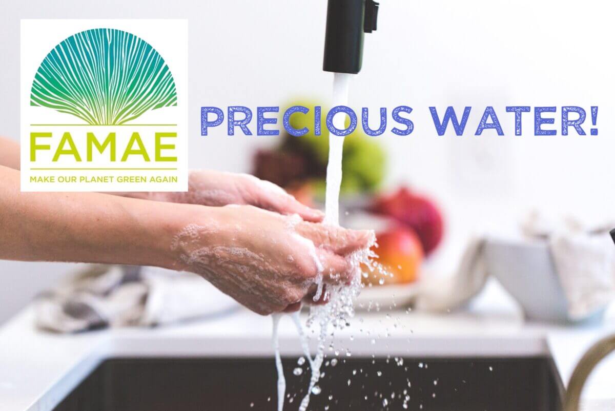 Famae Precious Water Challenge
