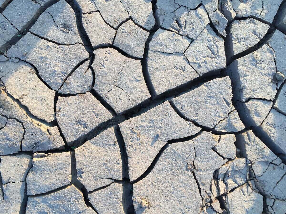 Menace imminente de pénurie d’eau dans le sud de la France 